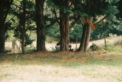 Vielleségure