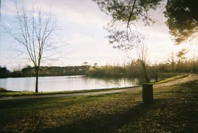 Rollific
